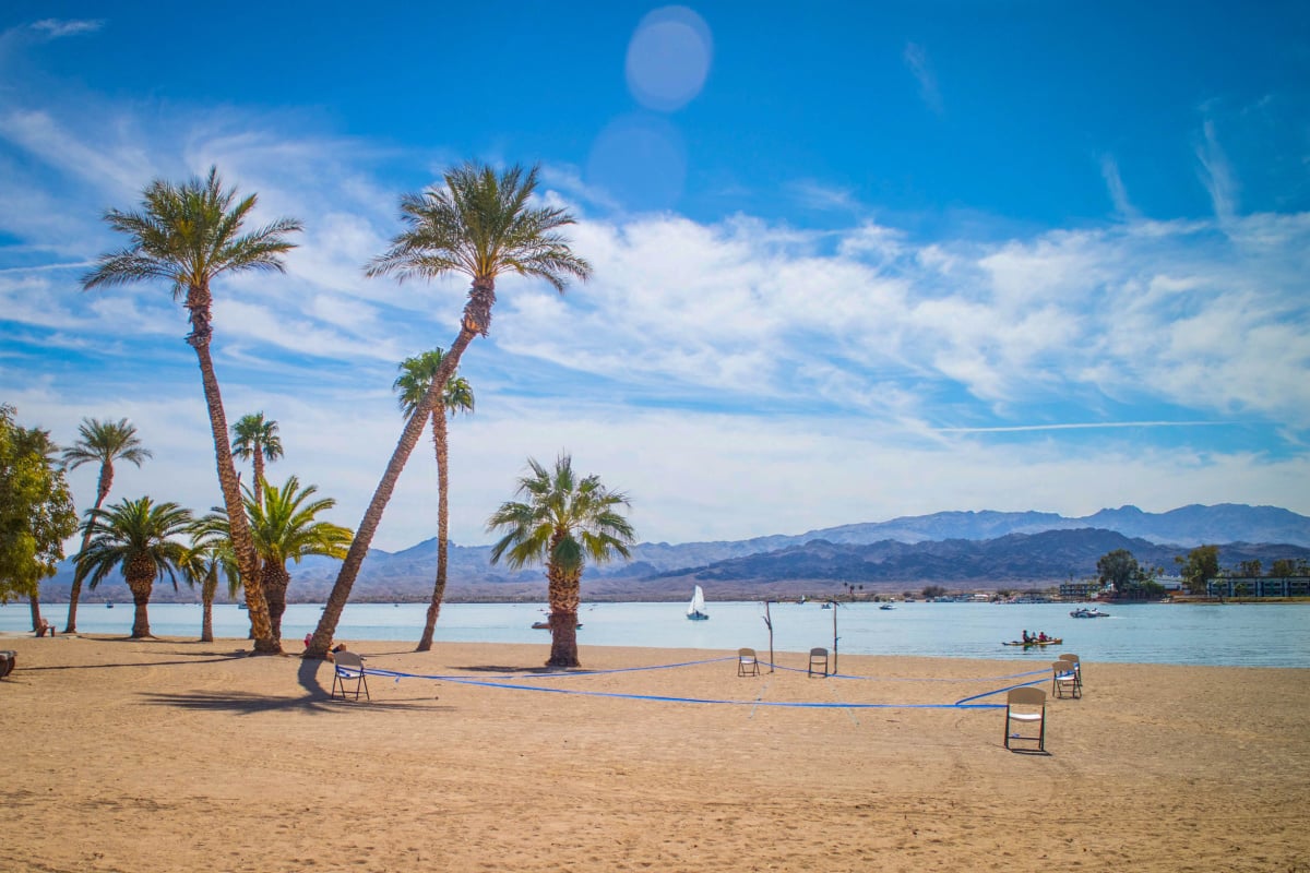 Palm trees lining Lake Havasu, AZ